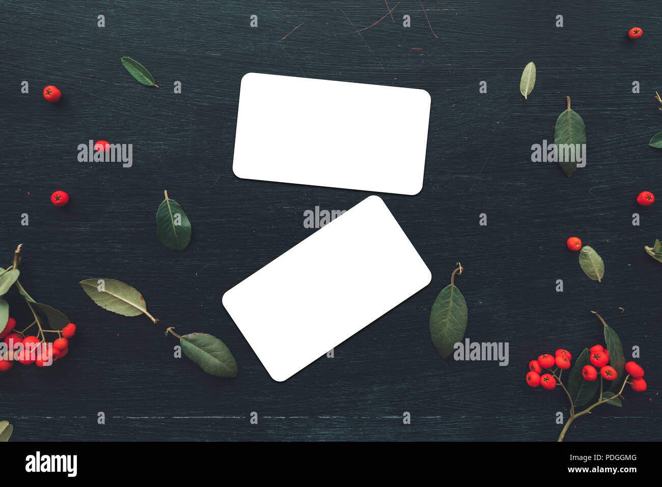 Flat lay business card with rounded corners mock up copy space top view on dark background decorated with wild berry fruit arrangement Stock Photo