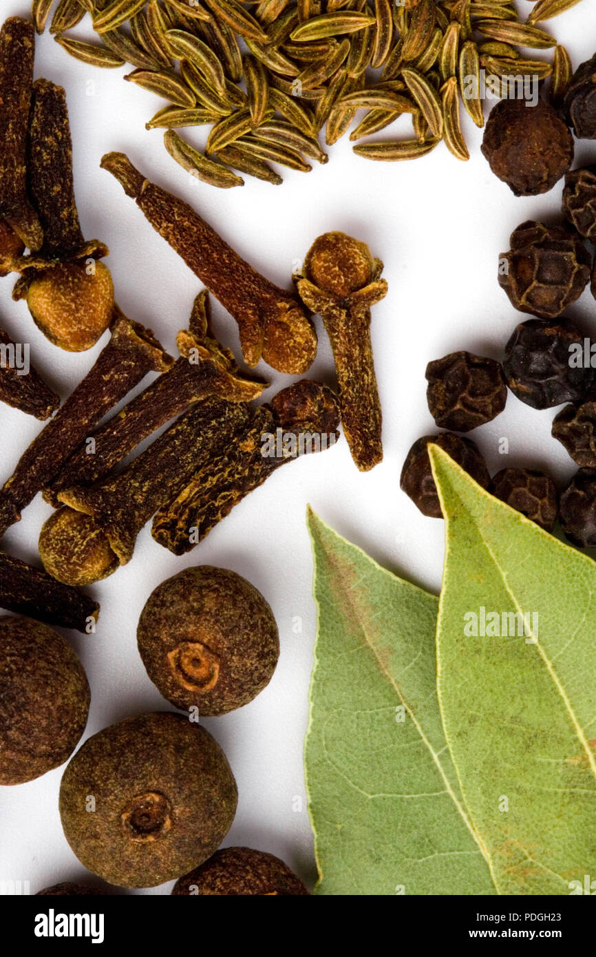 cooking herbs. bay leaves, cloves and black pepper closeup on white