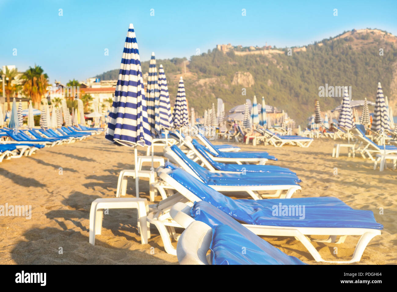 Empty sunbeds with blue mattresses on sandy beach near ocean sea at