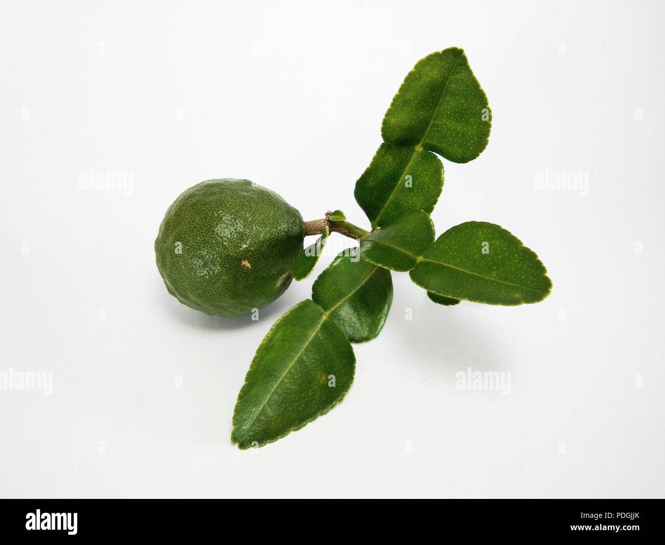 Kaffir lime fruits hi-res stock photography and images - Alamy