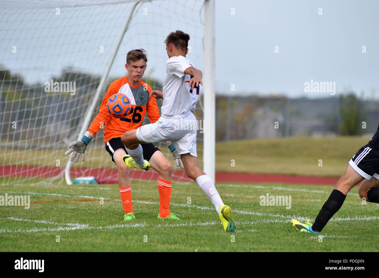 Blank shot hires stock photography and images Alamy