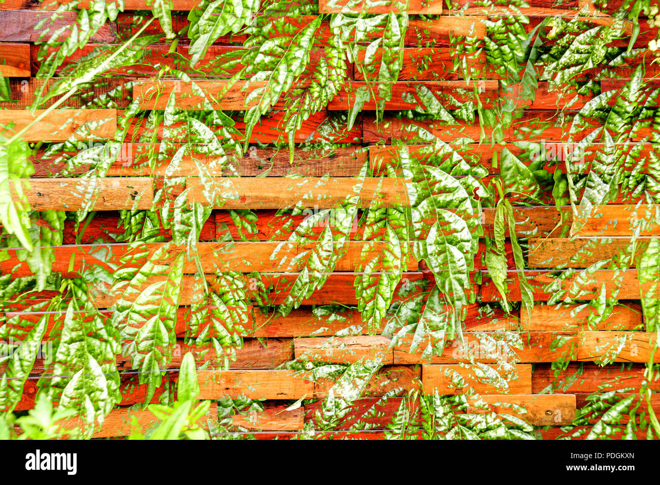 Colourful abstract pattern design Stock Photo - Alamy