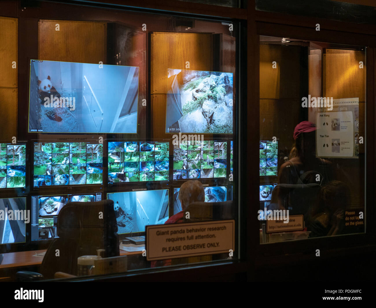 Giant panda behavior research lab monitors pandas at the Smithsonian's