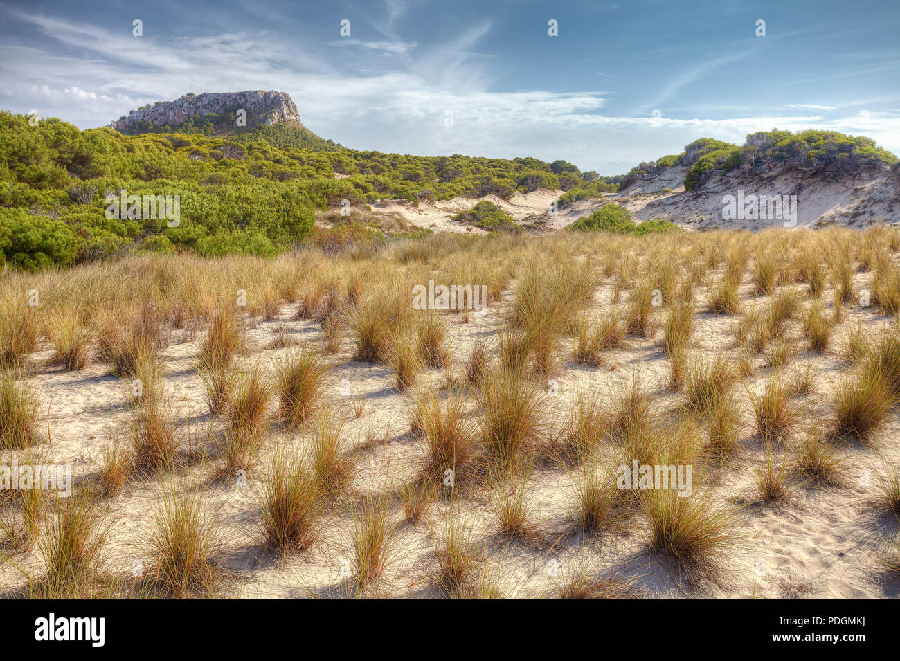 Sand Dunes on Cala Mesquida Beach, Majorca Island Stock Photo