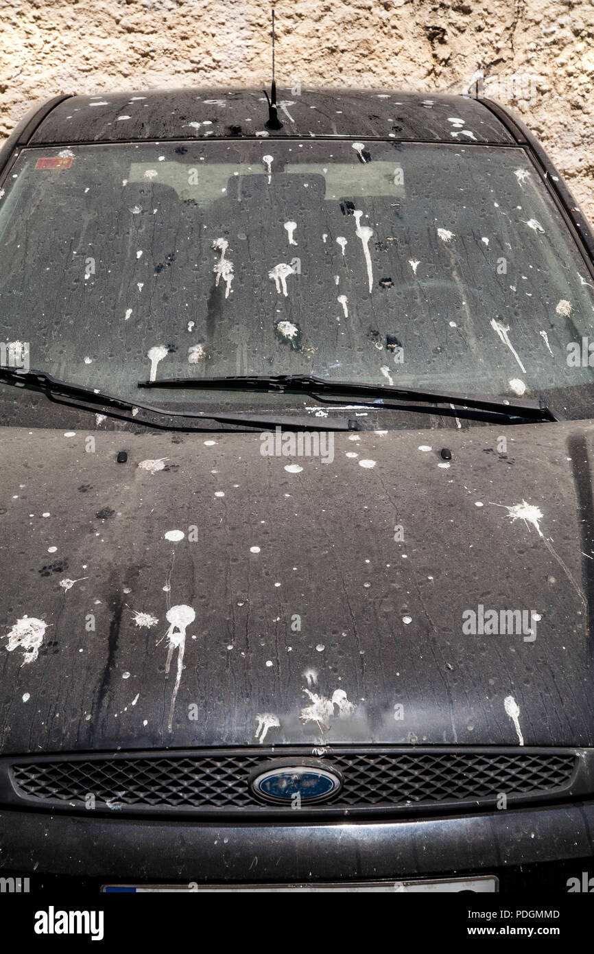 filthy parked cars, seagull droppings Stock Photo