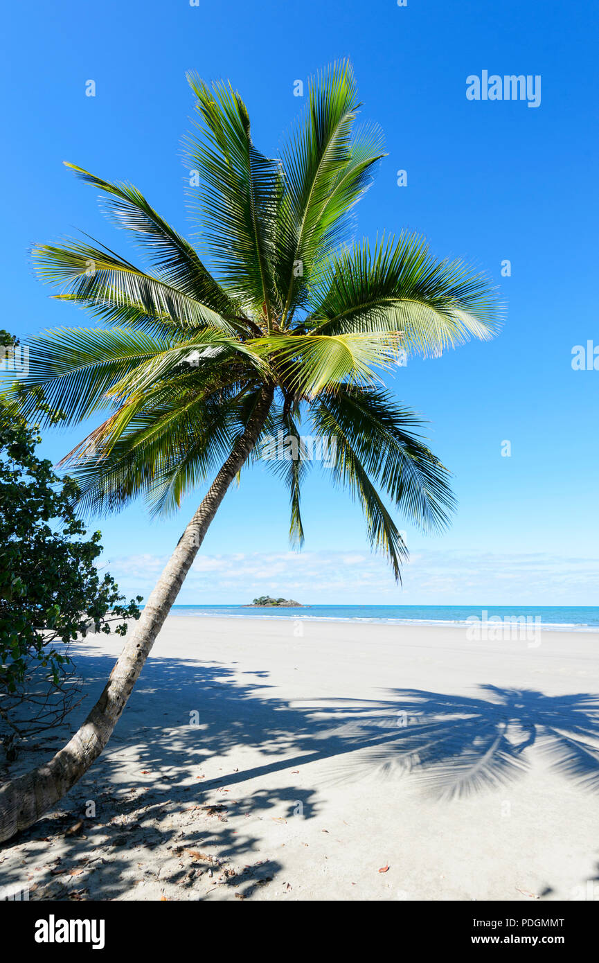 Palmtree Shadow High Resolution Stock Photography And Images Alamy