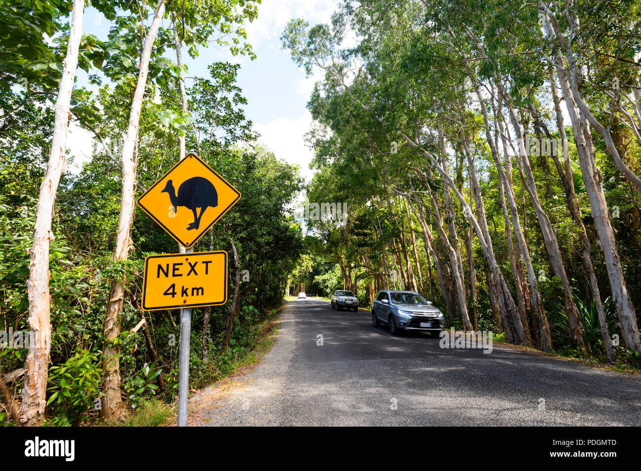 Oncoming traffic and Road sign warning of cassowaries crossing the road, Daintree National Park, Cape Tribulation, Far North Queensland, FNQ, QLD, Aus Stock Photo
