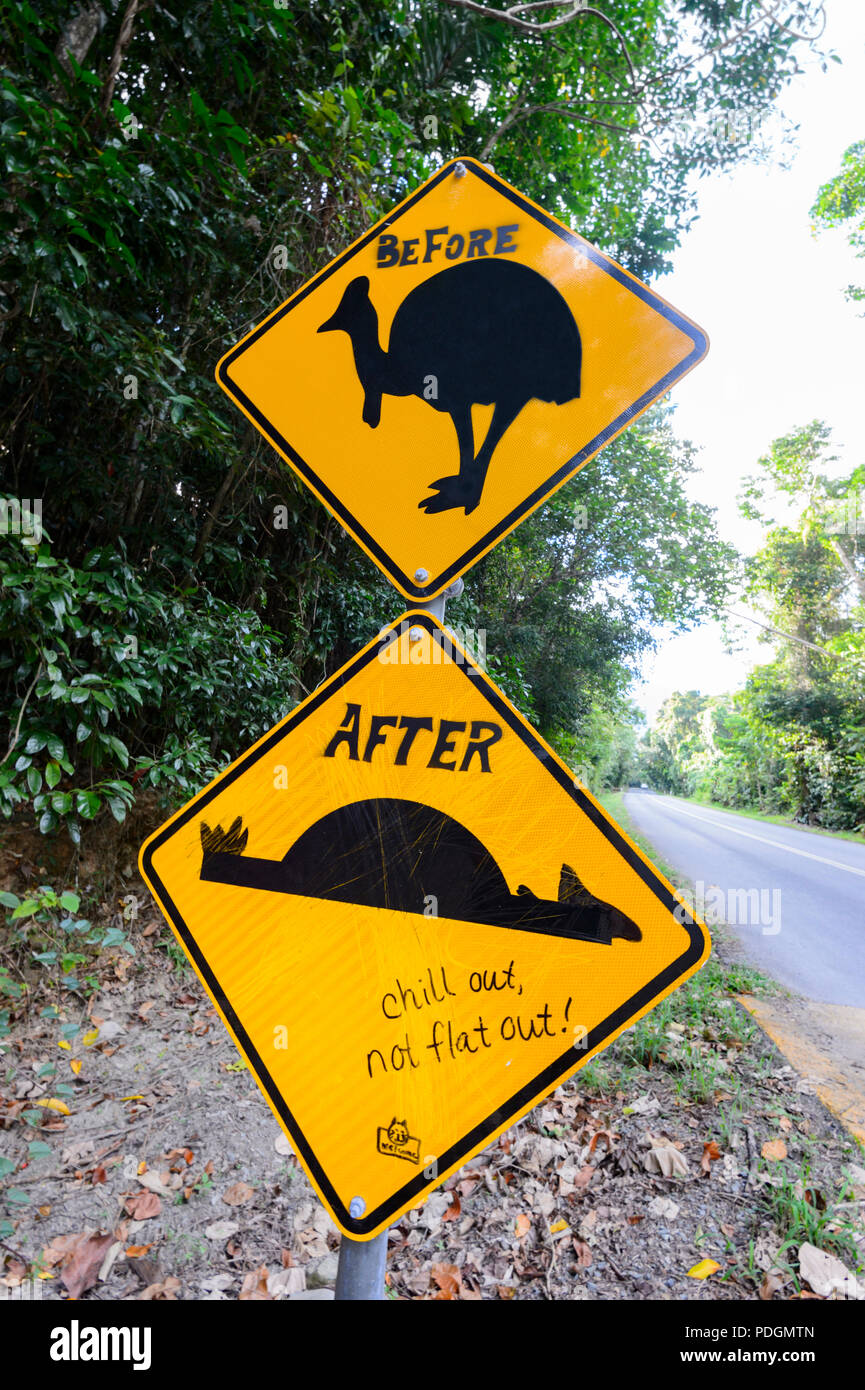 Humorous graffiti on a road sign warning of cassowaries crossing the road, Daintree National Park, Cape Tribulation, Far North Queensland, FNQ, QLD, A Stock Photo