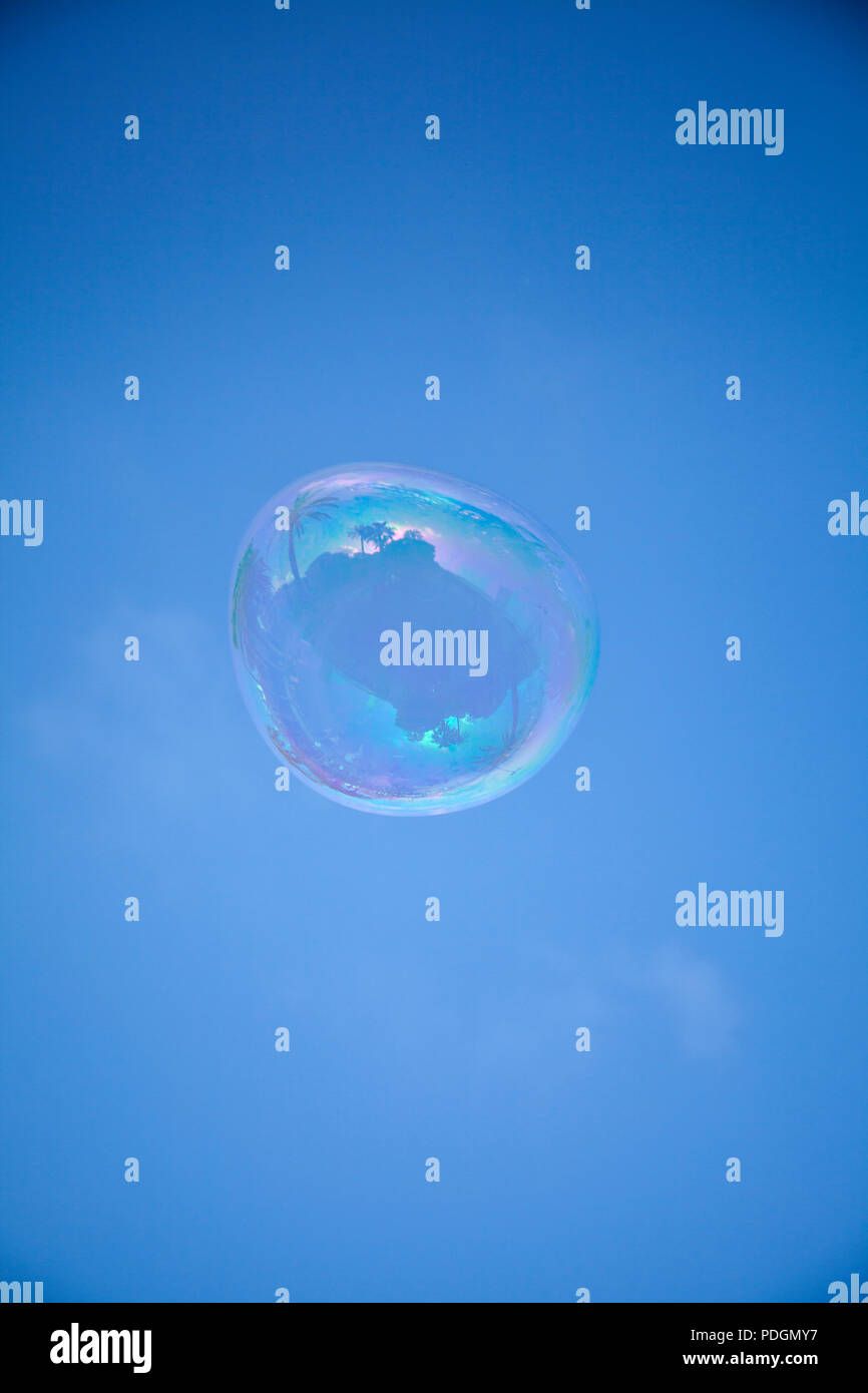 Tree bubble sky blue hi-res stock photography and images - Alamy