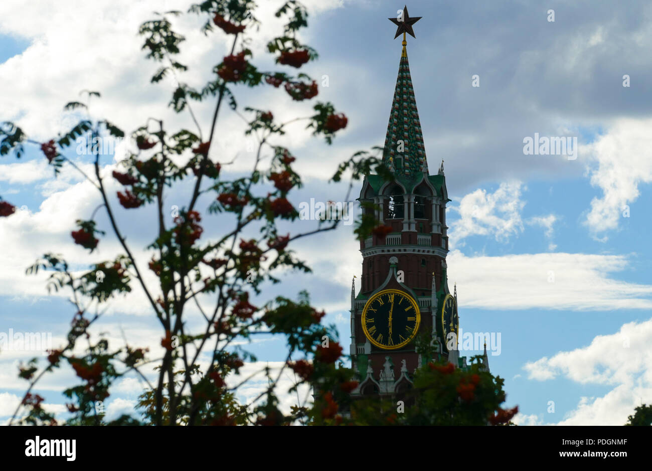 Tower of the Kremlin and rowan Stock Photo