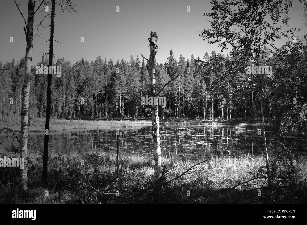 Lake in beautiful sunny Black and White Stock Photos & Images - Alamy