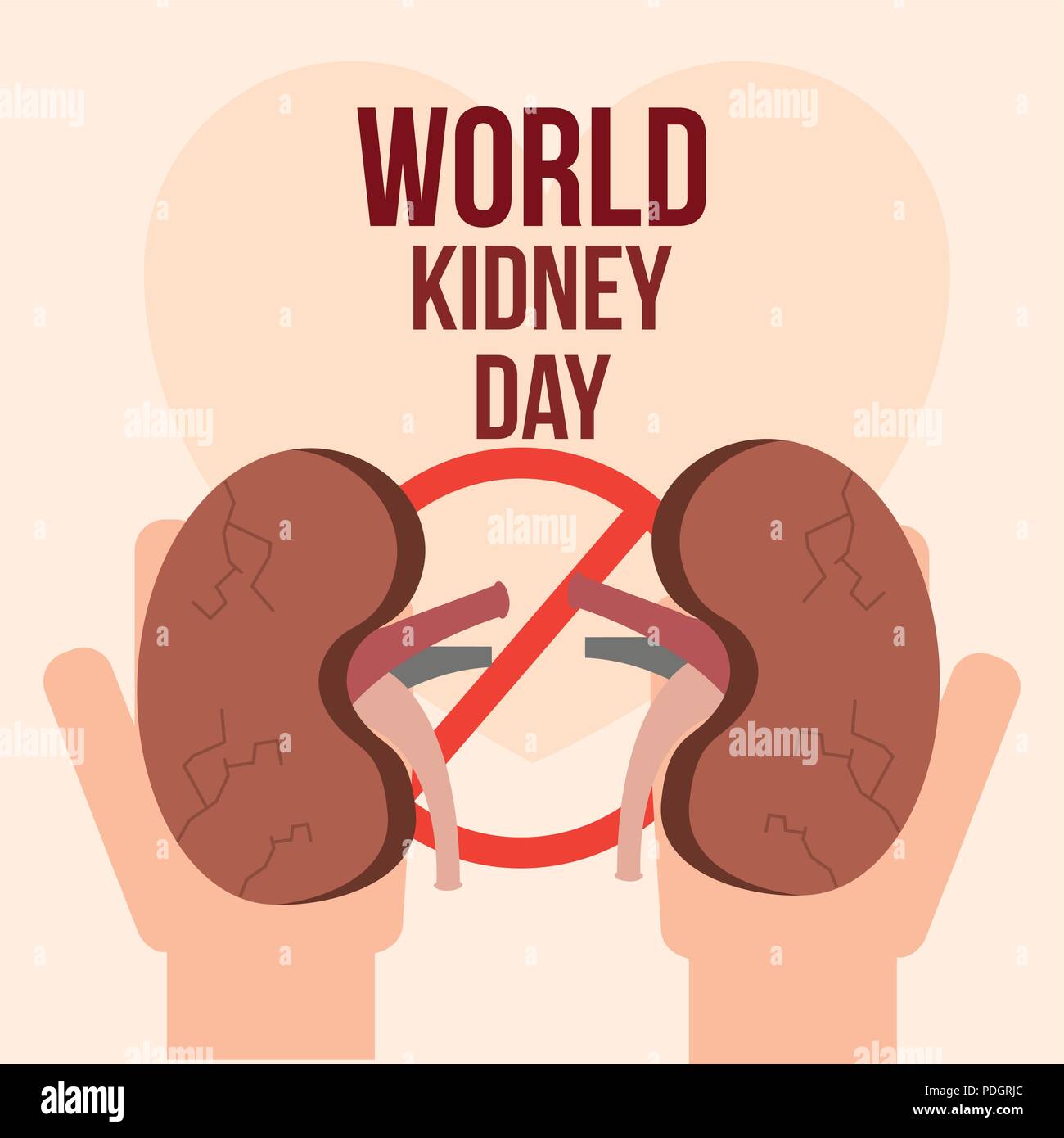 Kidney cure Stock Vector Images Alamy