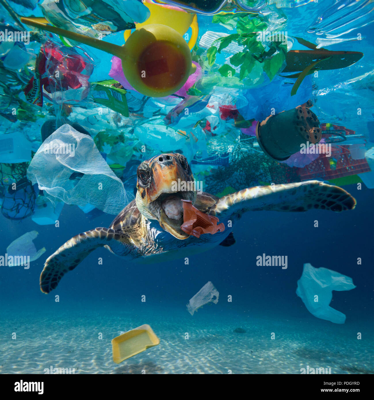 Plastic Pollution Animals Stock Photos Plastic Pollution Animals Plastic Pollution Animals Stock Photos Plastic Pollution Animals
