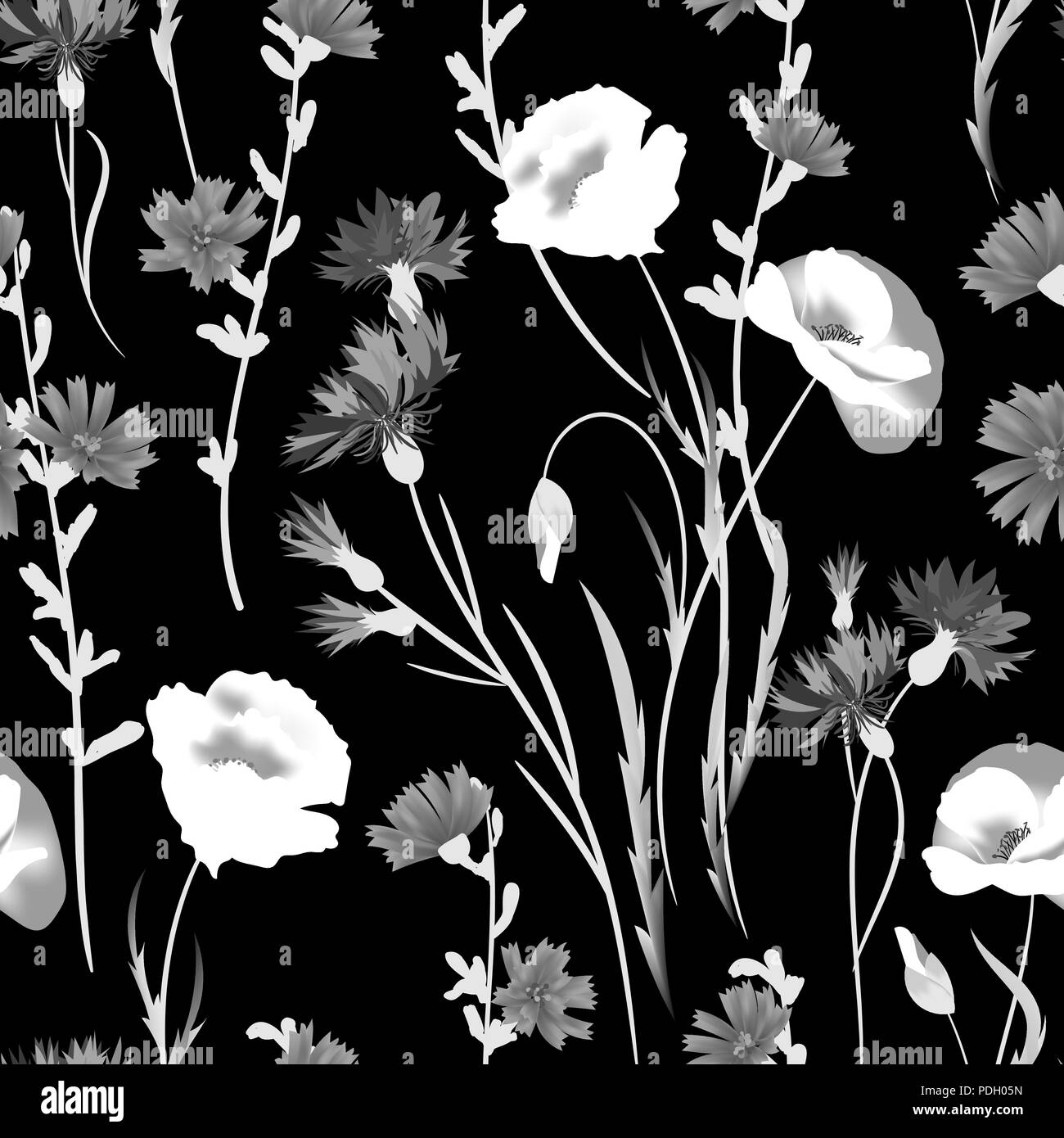 Colorful wildflowers illustration Black and White Stock Photos & Images Alamy