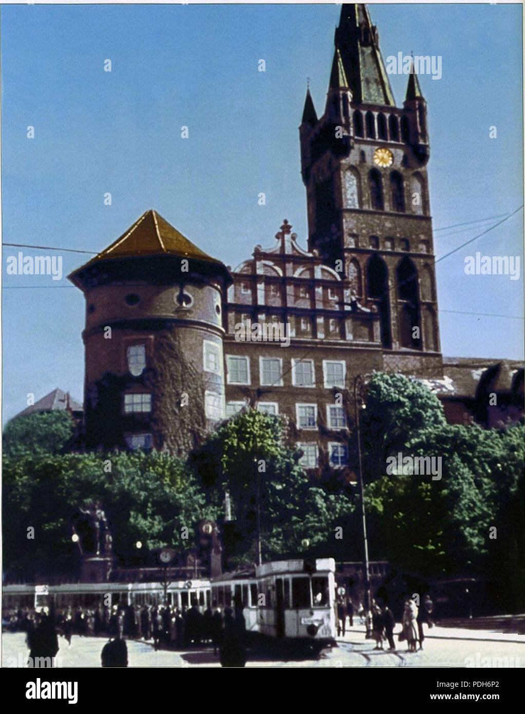 293 Schlosskirche und Schlossturm in Königsberg Stock Photo Alamy