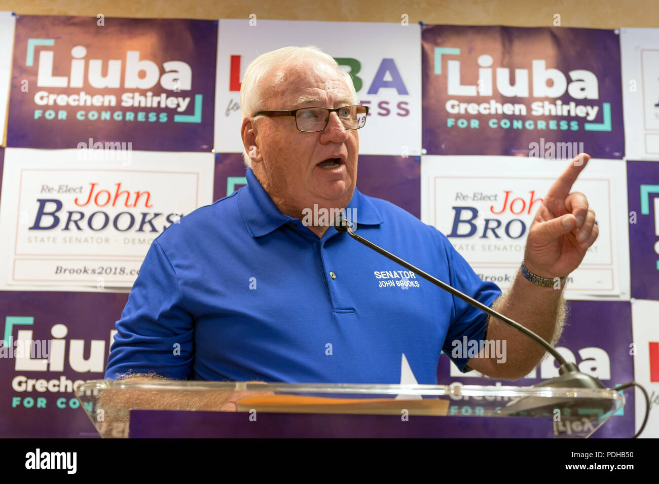Massapequa, New York, USA. 5th Aug, 2018. NY Senator JOHN BROOKS (D-Seaford), running for re-election, speaks at podium during open joint campaign office for him and Liuba Grechen Shirley, aiming for a Democratic Blue Wave in November midterm elections. Credit: Ann Parry/ZUMA Wire/Alamy Live News Stock Photo