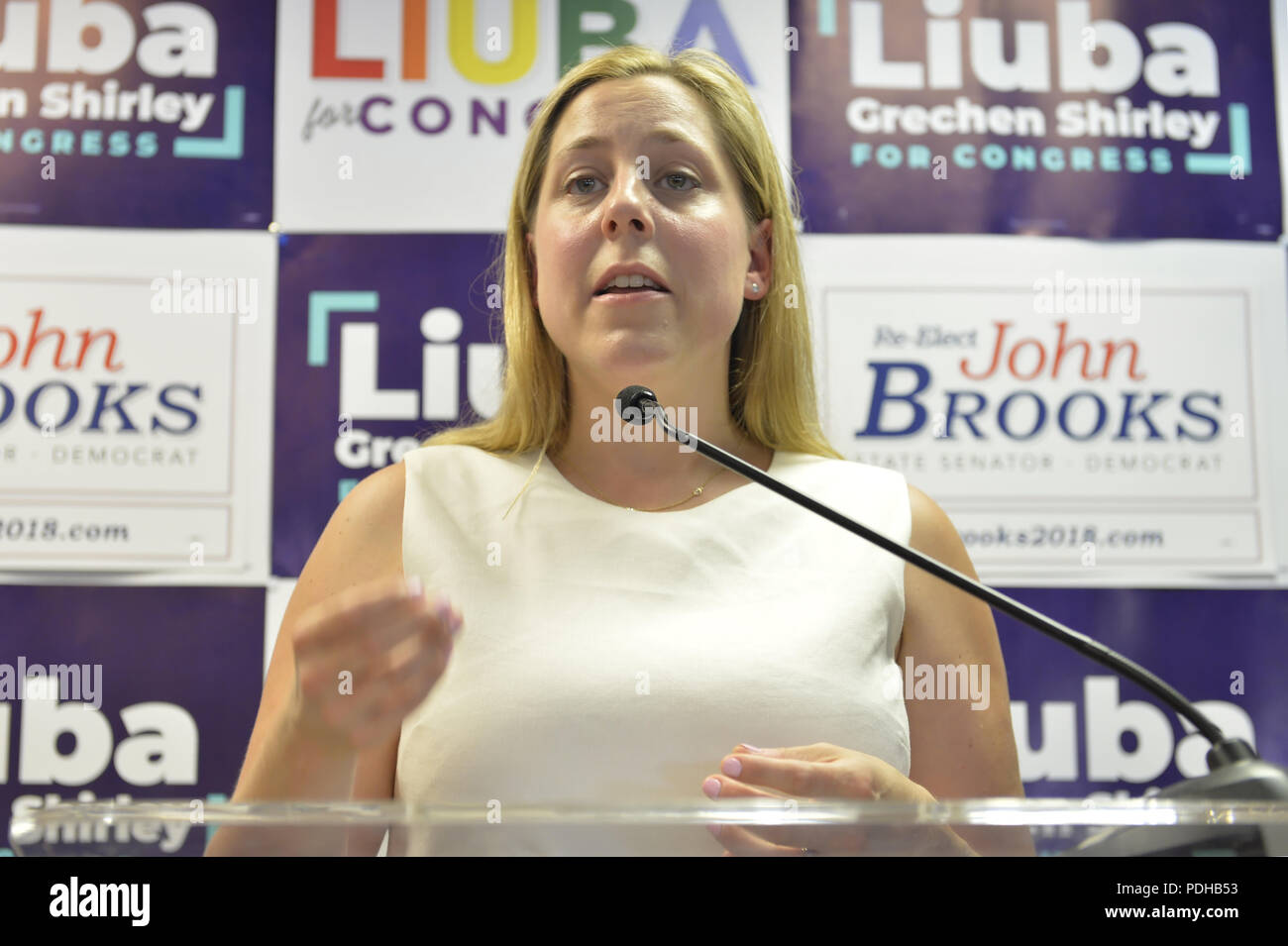 Massapequa, New York, USA. 5th Aug, 2018. LIUBA GRECHEN SHIRLEY, Congressional candidate for NY 2nd District, speaks at podium at joint campaign office opening for her and NY Senator John Brooks, aiming for a Democratic Blue Wave in November midterm elections. Credit: Ann Parry/ZUMA Wire/Alamy Live News Stock Photo