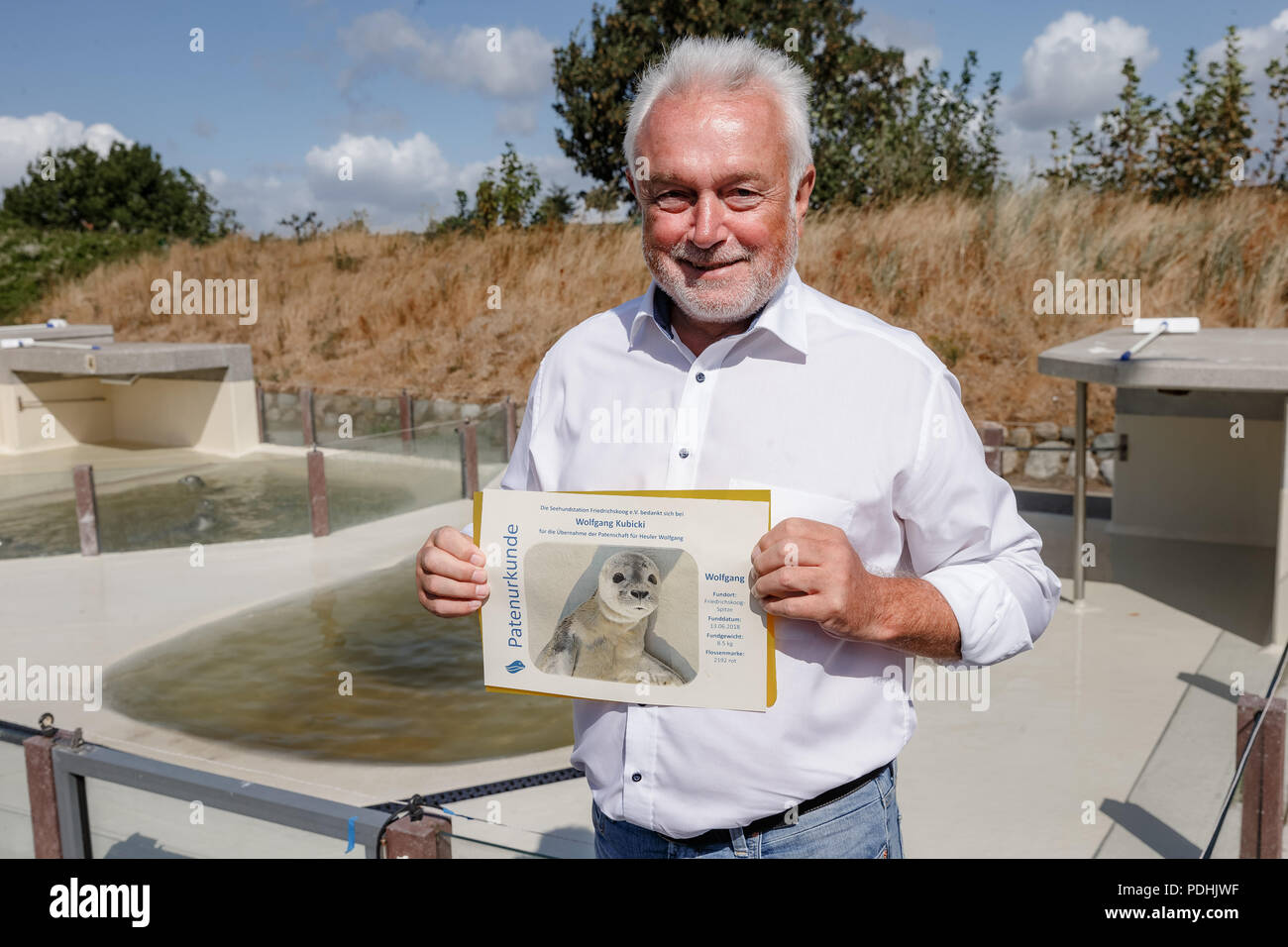 Friedrichskoog, Germany. 10th Oct, 2018. Wolfgang Kubicki of the Free Democratic Party (FDP), Vice President of the German Bundestag, shows his sponsorship certificate for the seal 'Wolfgang' at the seal station Friedrichskoog. Kubicki was given the seal sponsorship for his resignation from the state parliament by colleagues in parliament. Credit: Markus Scholz/dpa/Alamy Live News Stock Photo