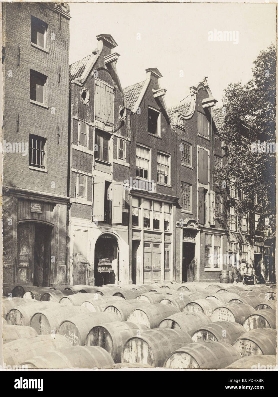 Image of 012000004957