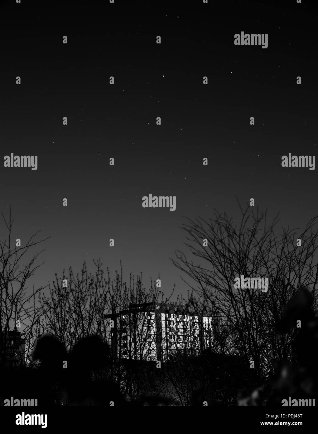 Starry white Black and White Stock Photos & Images - Alamy