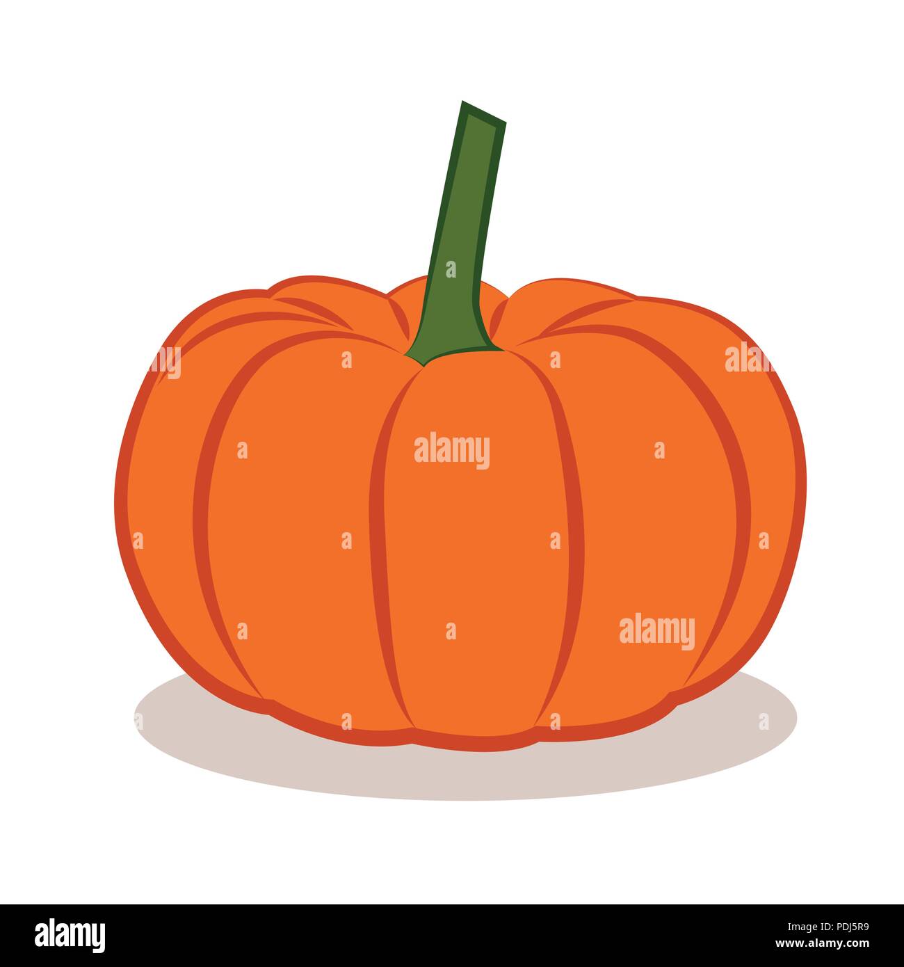 orange pumpkin vegetable autumn graphic vector illustration EPS10 Stock Vector