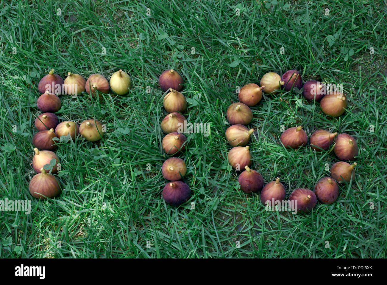 Fig word written with real figs on the grass Stock Photo Alamy