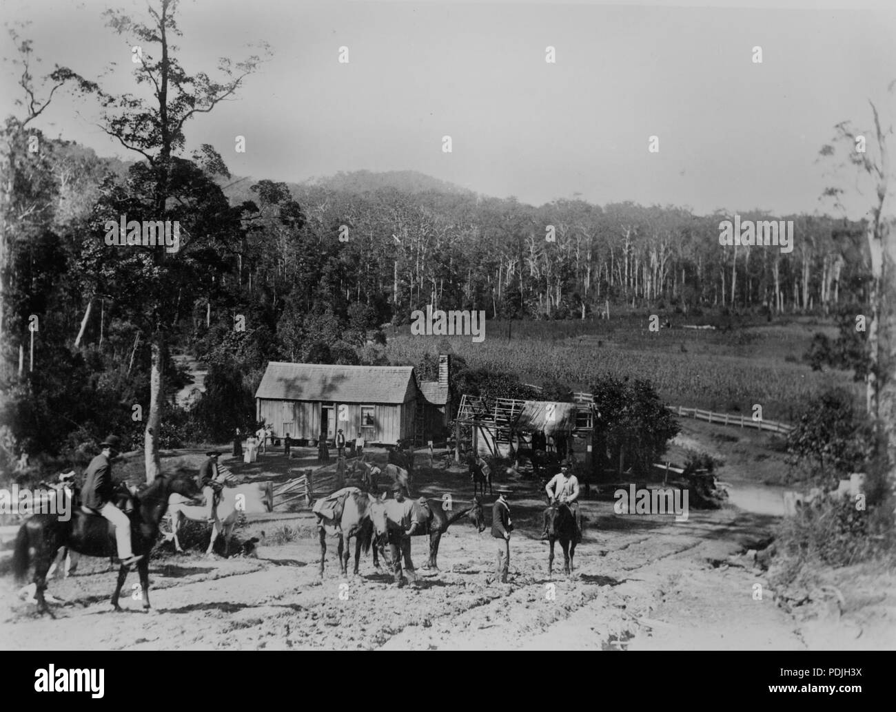 Mudgeeraba hires stock photography and images Alamy