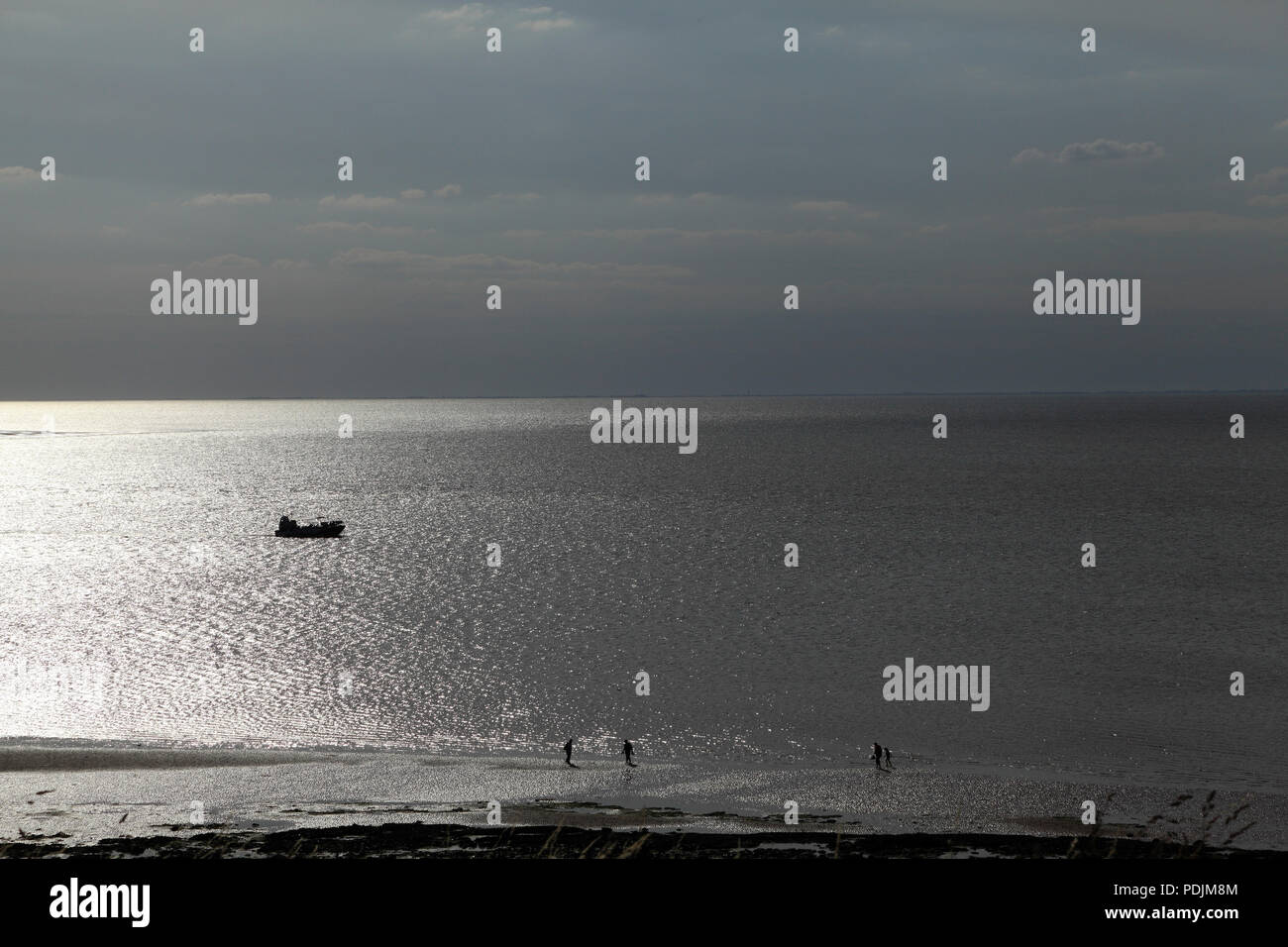 The Wash Monster, sinister silhouette, amphibious, passenger, boat, pleasure cruise, The Wash, from Hunstanton, evening light, Norfolk, UK Stock Photo