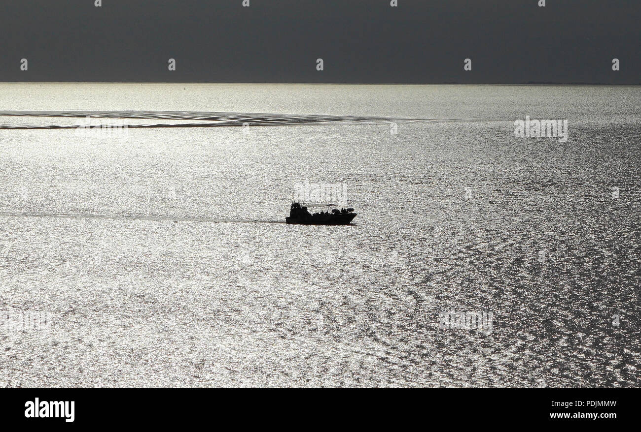 The Wash Monster, sinister silhouette, amphibious, passenger, boat, pleasure cruise, The Wash, from Hunstanton, evening light, Norfolk, UK Stock Photo