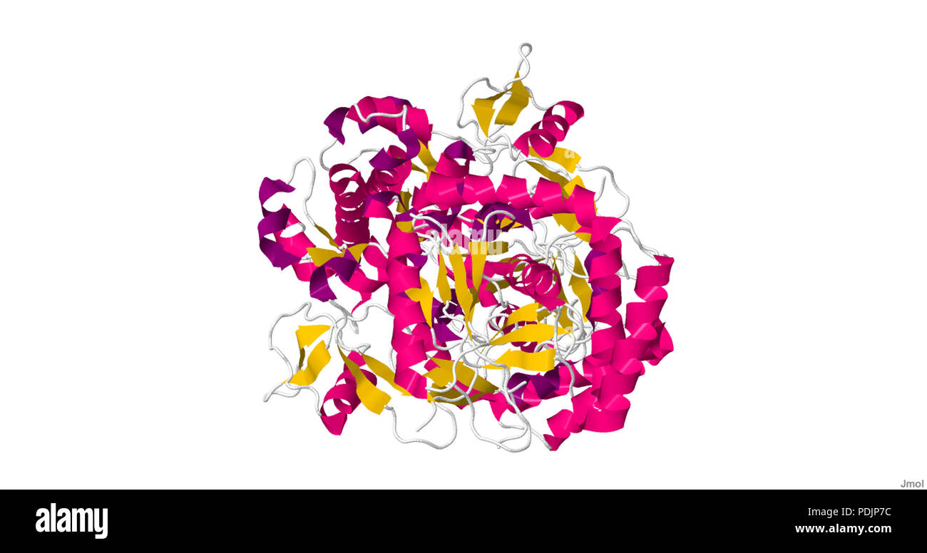 3 Nitric Oxide Synthase Stock Photo Alamy