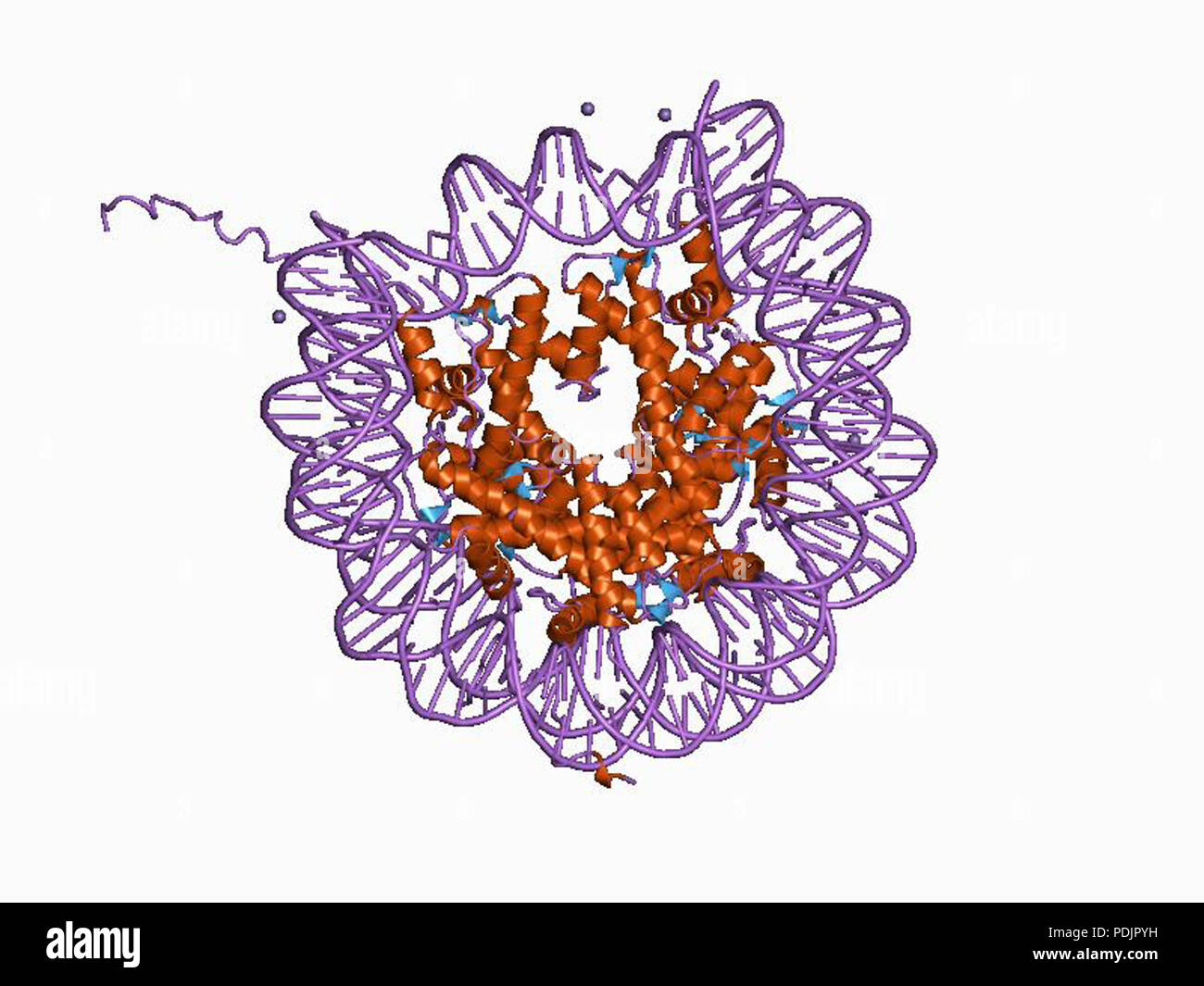 8 PDB 1aoi EBI Stock Photo