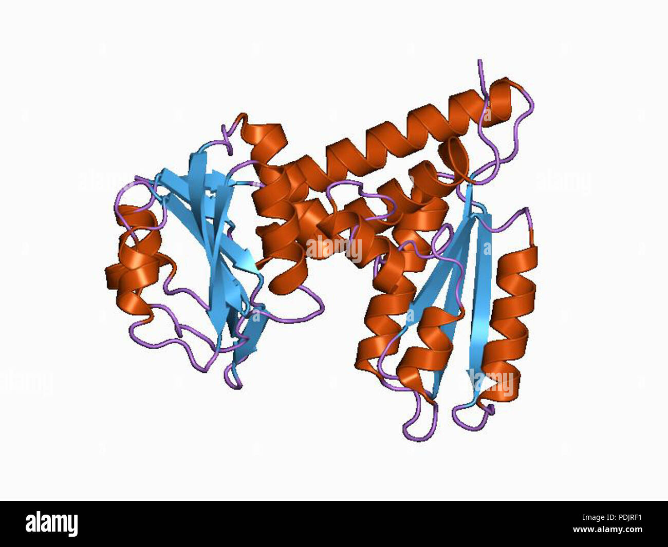 10 PDB 1b0a EBI Stock Photo