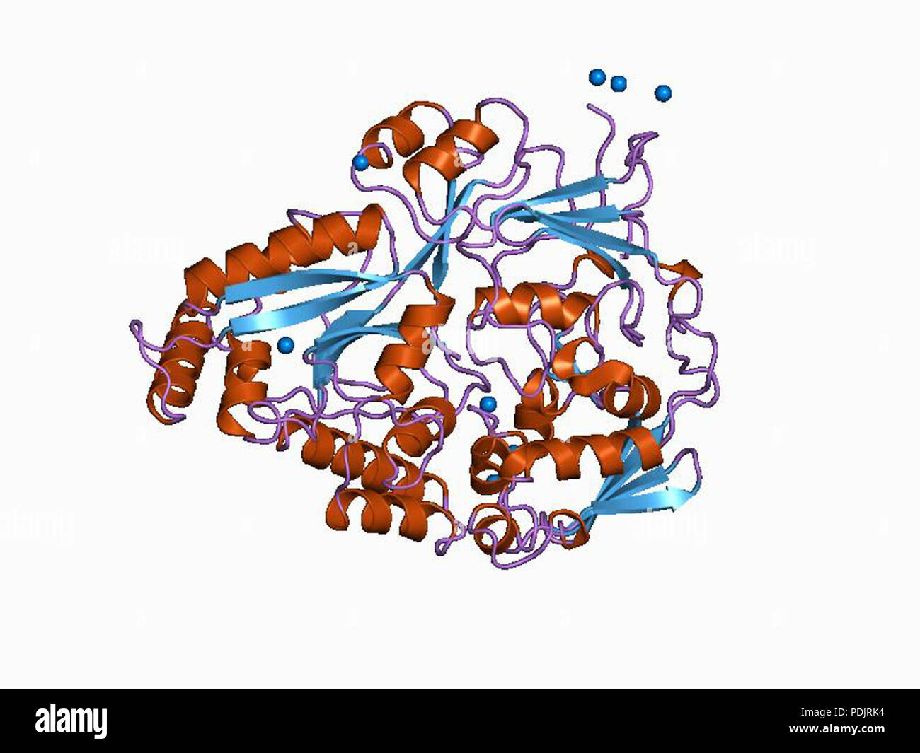 Enzyme mechanisms hi-res stock photography and images - Alamy