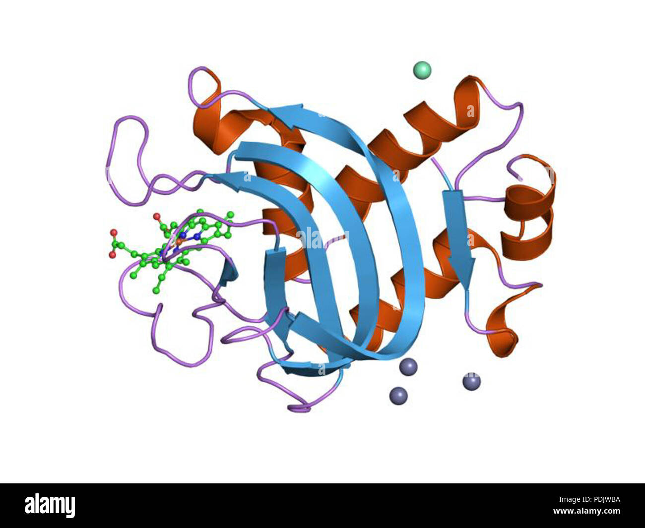 Plant cell svg - Etsy Österreich, image size:1300x1065