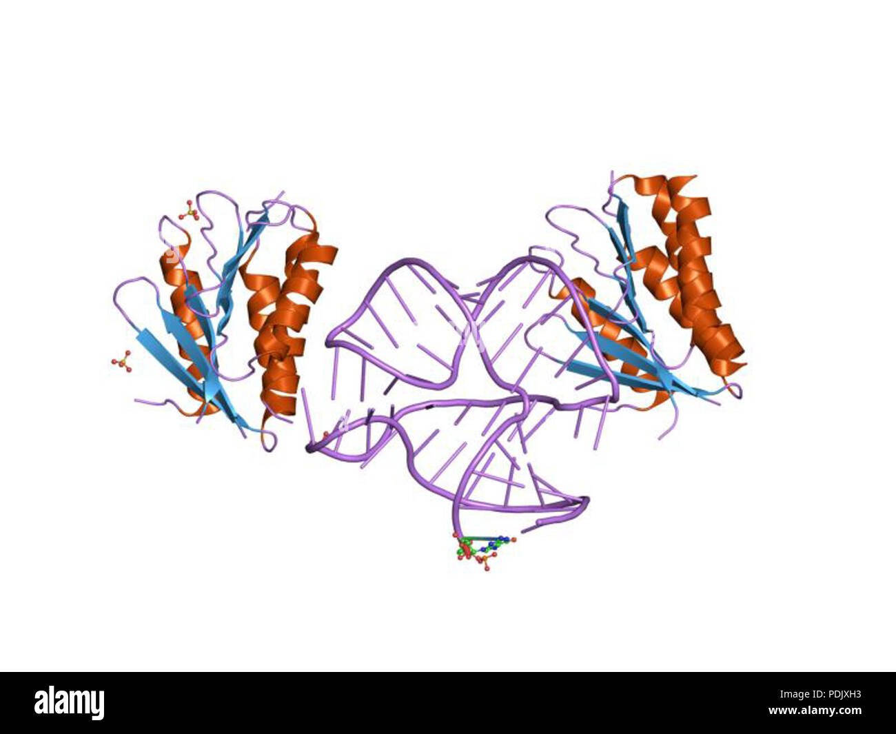 29 PDB 1e8o EBI Stock Photo - Alamy