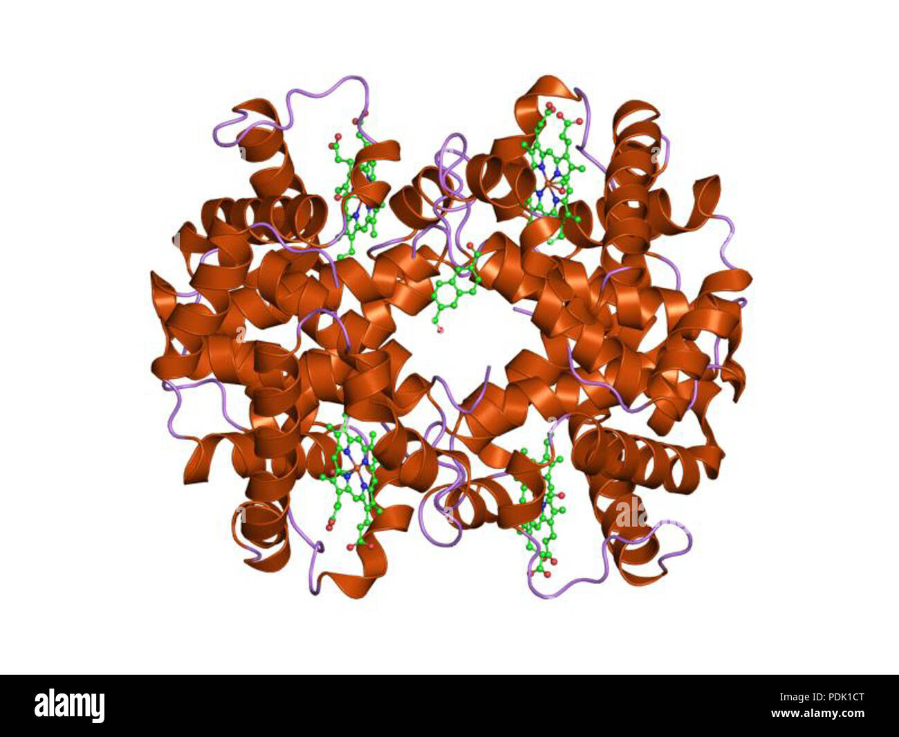 47 PDB 1hac EBI Stock Photo
