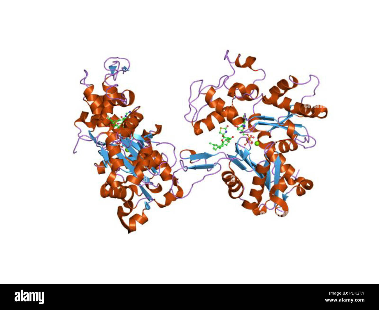 Dna binding process hi-res stock photography and images - Alamy