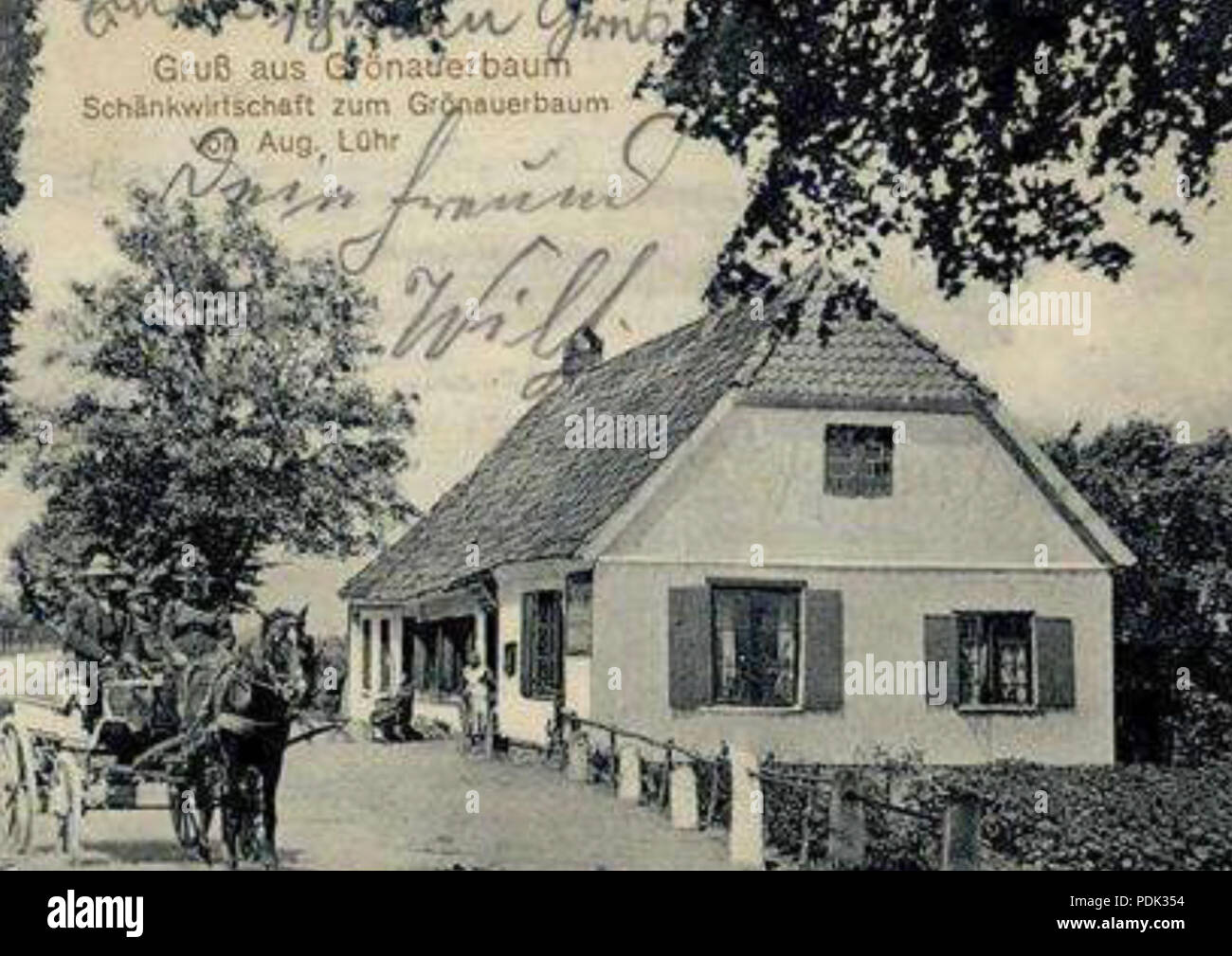 381 WP Grönauer Baum Stock Photo