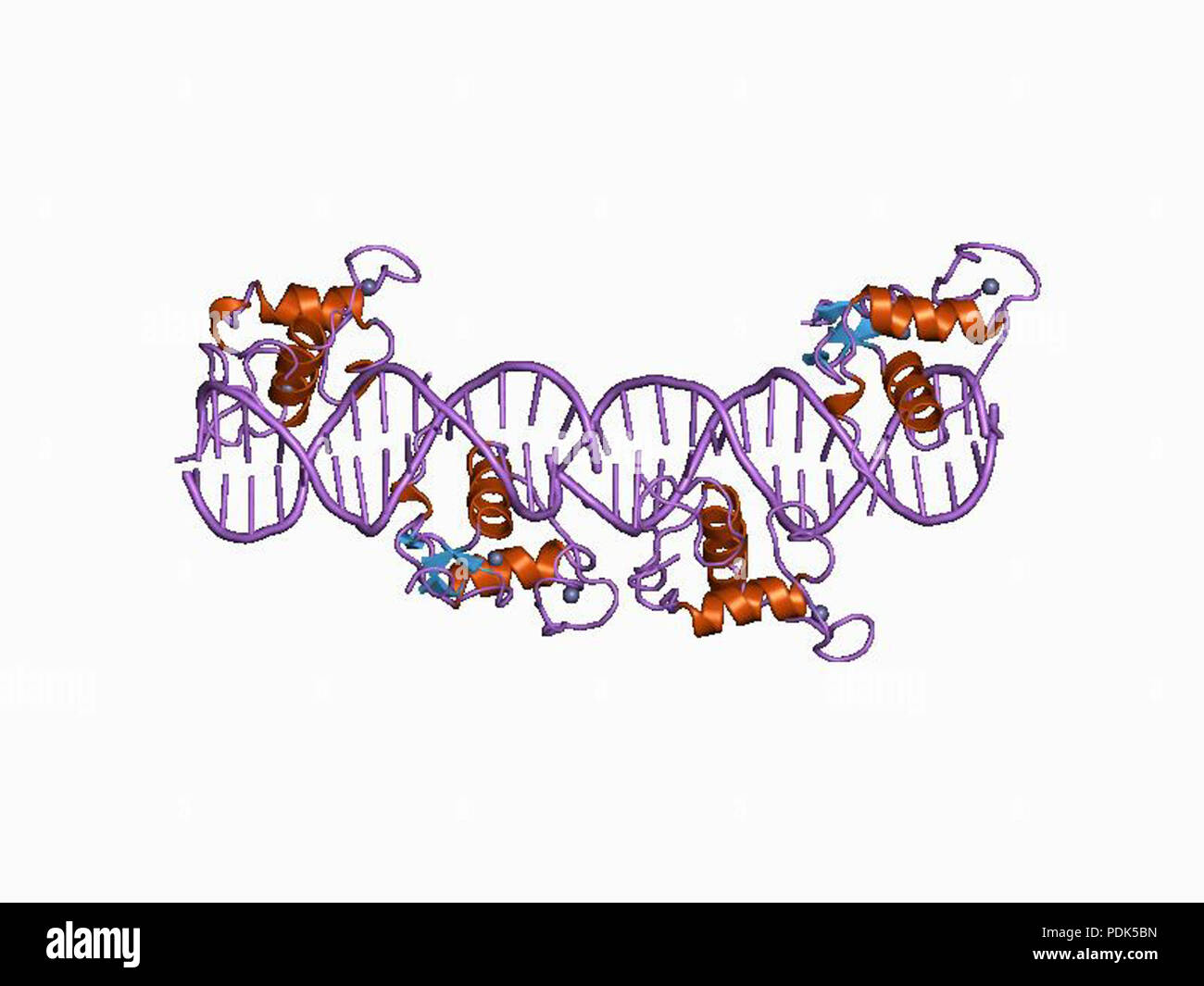 Targeting x ray Cut Out Stock Images & Pictures - Alamy