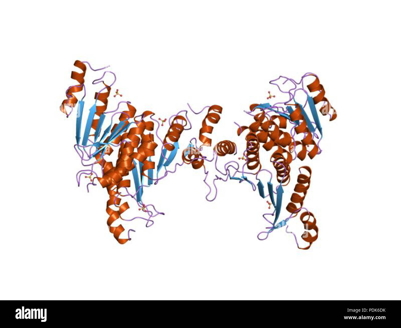 Cd4 binding site hi-res stock photography and images - Alamy