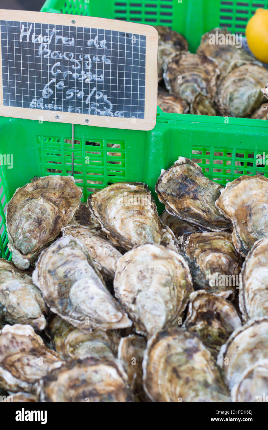 Fresh Bouzigues oysters on sale at Agde local market, one of france typical seafood. Stock Photo
