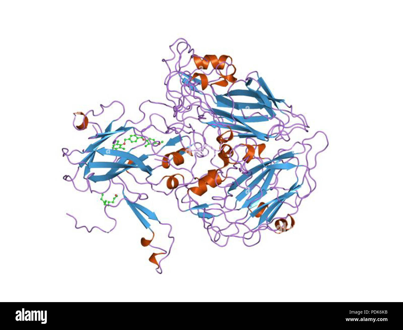 29 PDB 1eah EBI Stock Photo - Alamy