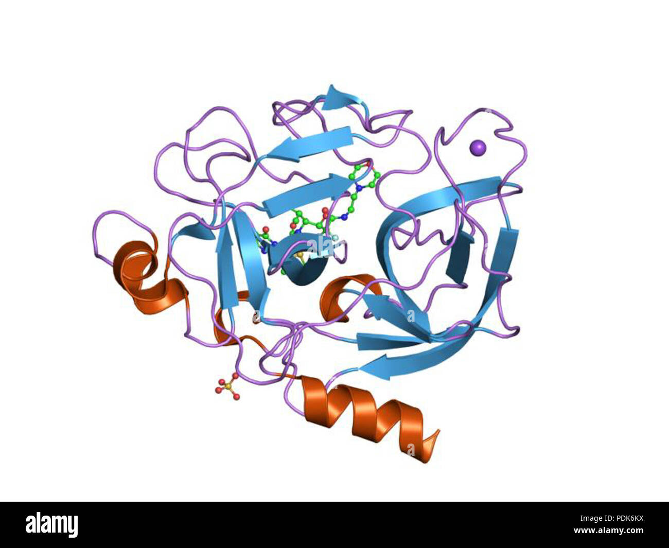 29 PDB 1eau EBI Stock Photo - Alamy