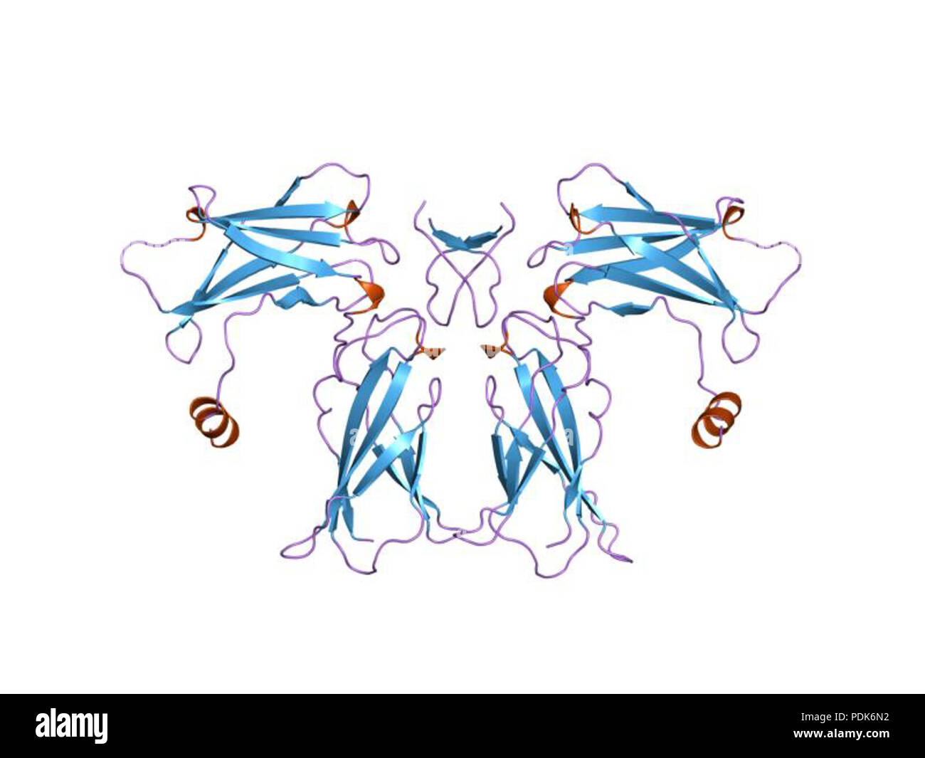 29 PDB 1ebp EBI Stock Photo - Alamy