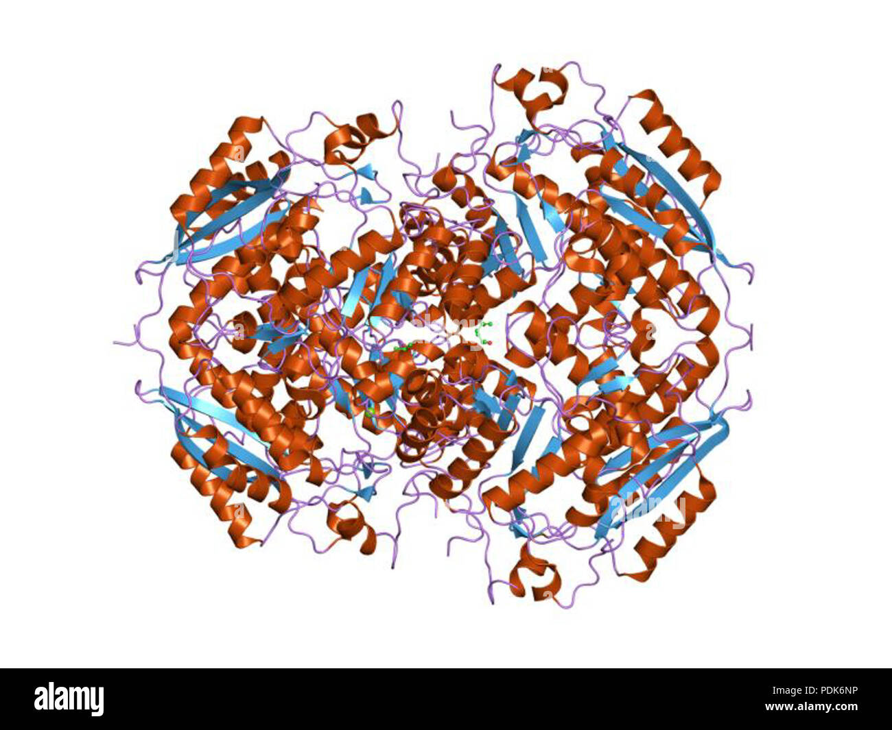 29 PDB 1ec7 EBI Stock Photo - Alamy