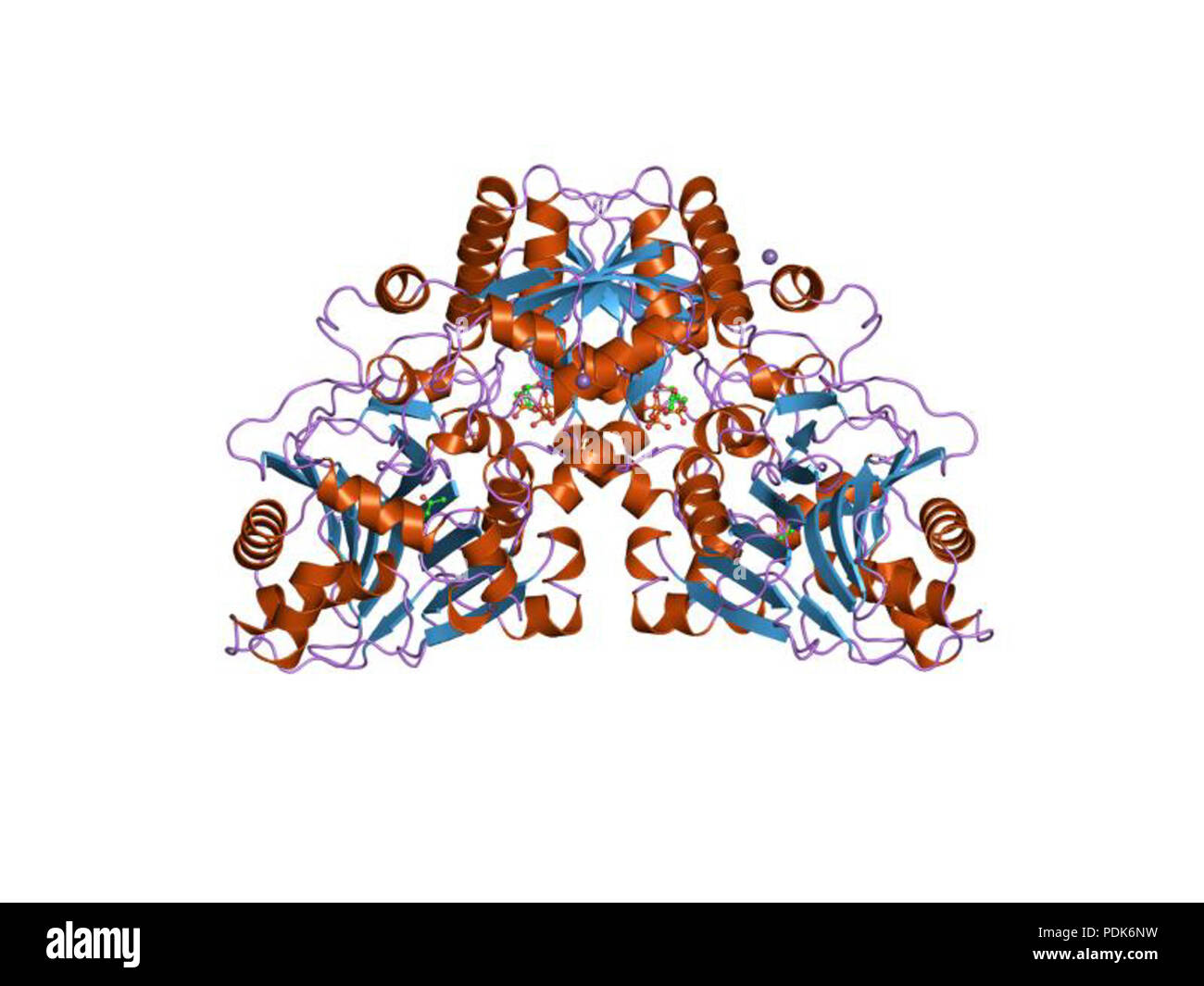 29 PDB 1ecc EBI Stock Photo - Alamy