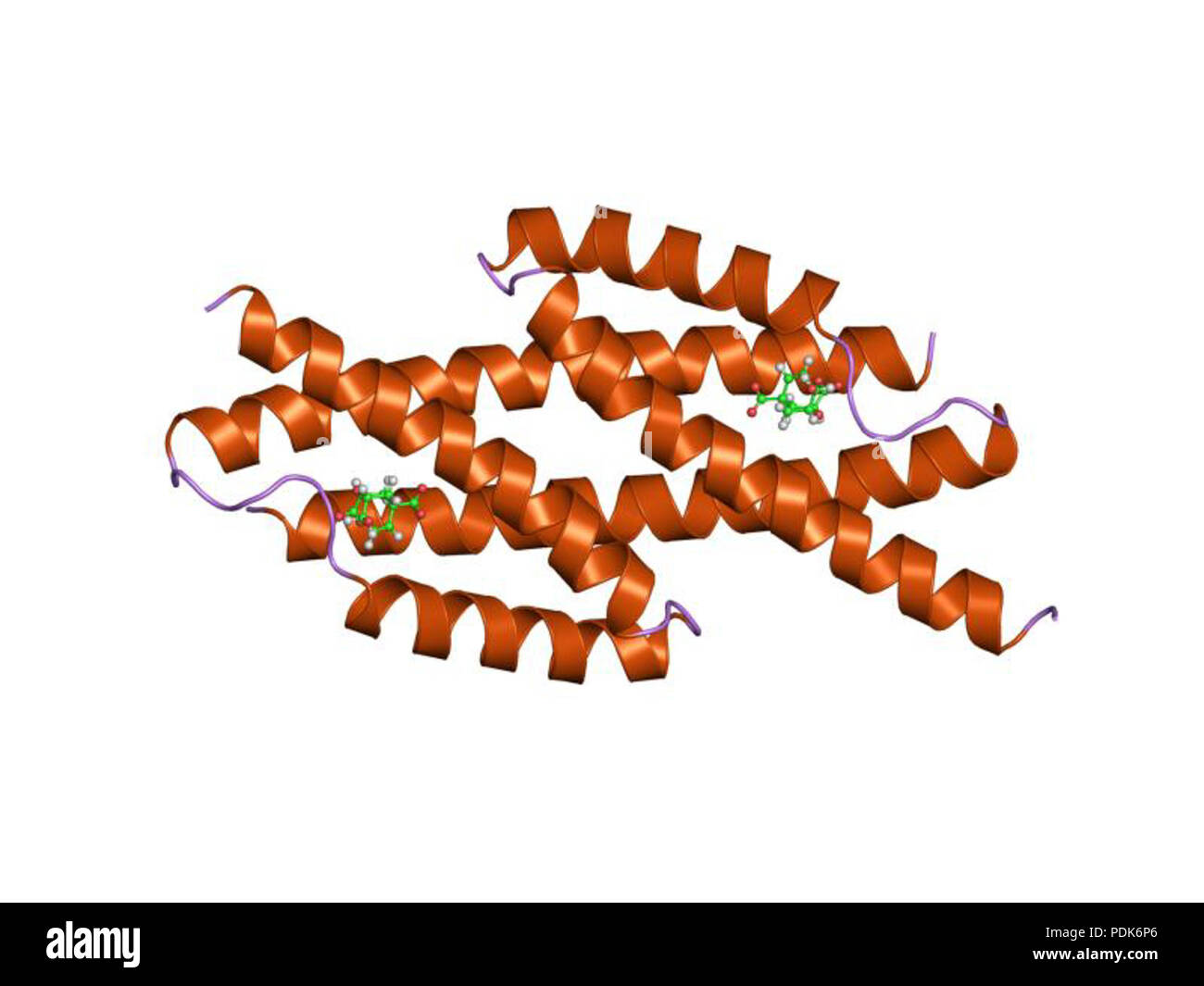 29 PDB 1ecm EBI Stock Photo - Alamy