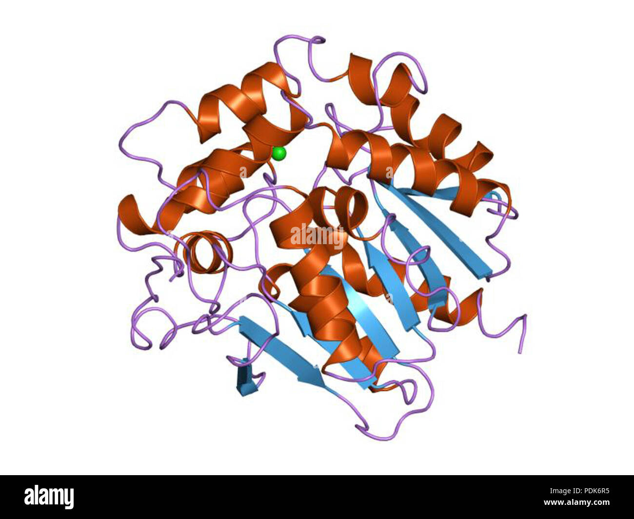 29 PDB 1edb EBI Stock Photo - Alamy