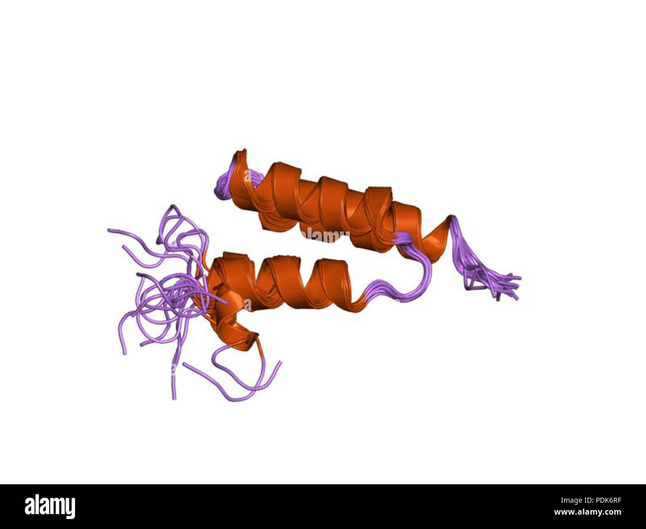 29 PDB 1edl EBI Stock Photo - Alamy
