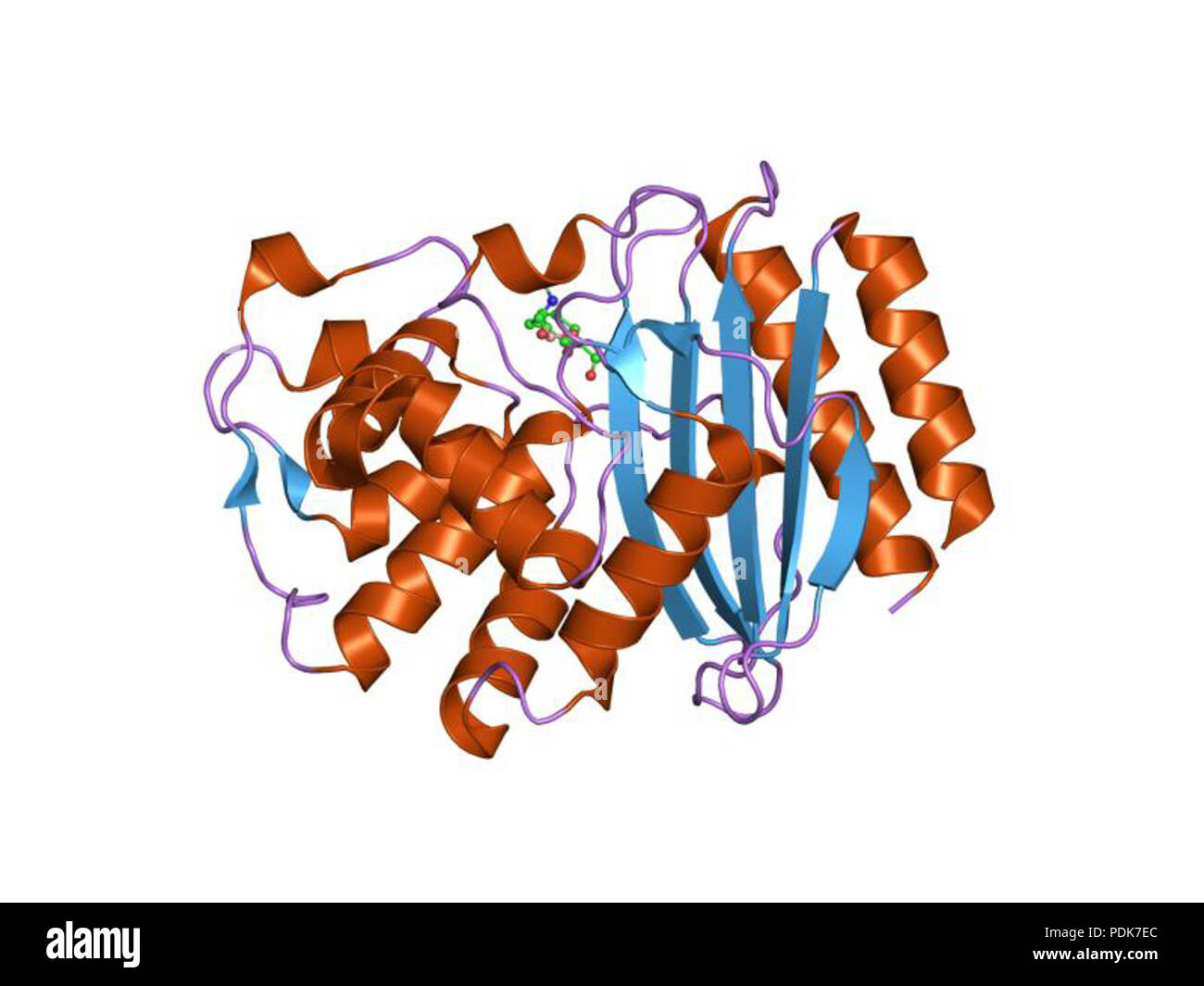 32 PDB 1erq EBI Stock Photo